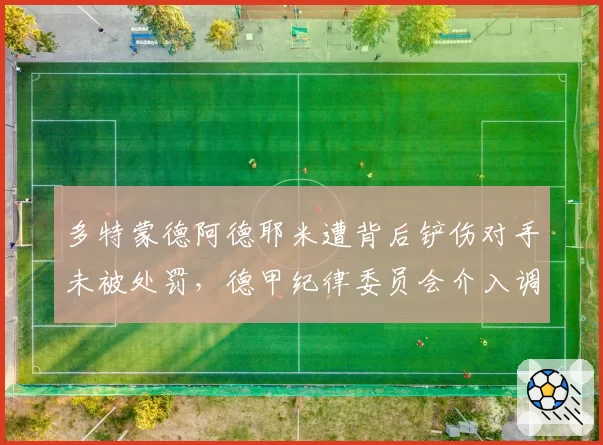 多特蒙德阿德耶米遭背后铲伤对手未被处罚,德甲纪律委员会介入调查